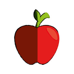 apple fruit icon