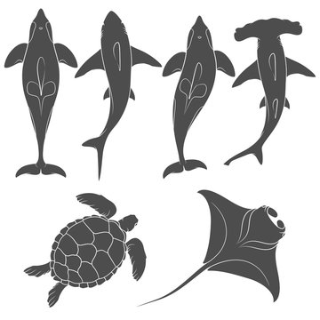 Set of images with marine animals. Vector black and white isolated objects on white background.