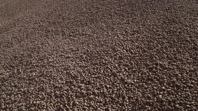 Expanded clay aggregate