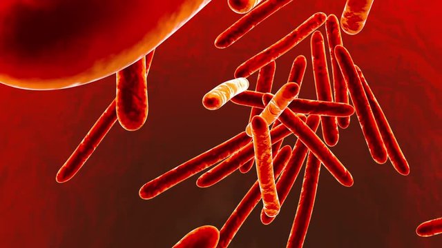 3D rendered animation of Tuberculosis bacterias infecting a body.
