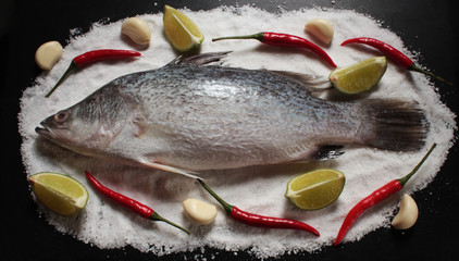 sea bass for Thai food cooking style
