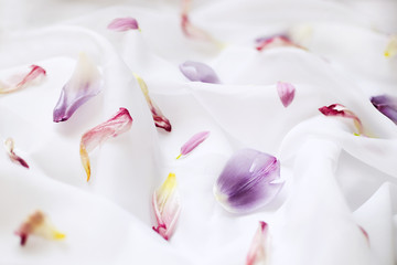 Pink and purple petals of flowers on white silk fabric background, selective focus