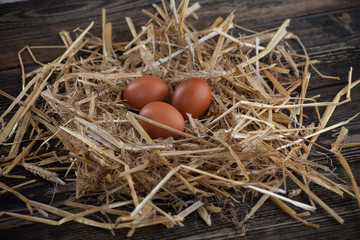 Jajka w wiklinowym koszu © Olo