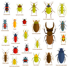 Flat insect set isolated on the white. Vector illustration.