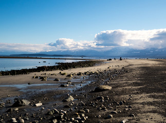 Pacific coast shoreline