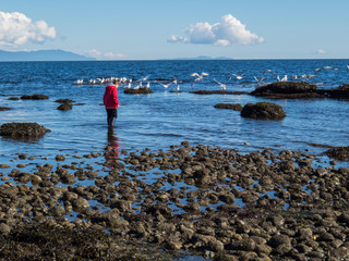 Seagulls and boy with rubber boots