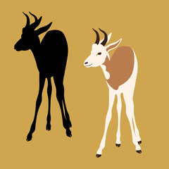 antelope  vector illustration style Flat set