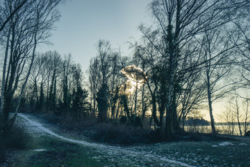 Obraz premium sunset in a frost covered park