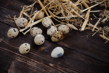 Jajka wielkanocne © Olo