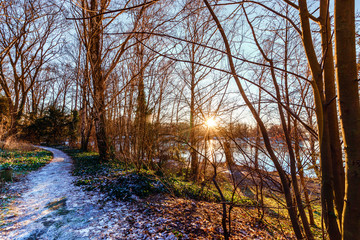 sunset in a frost covered park