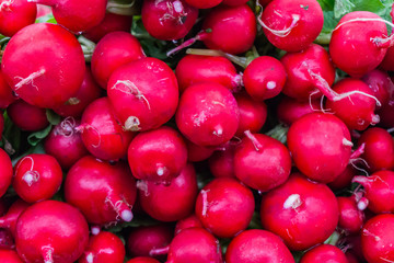 Closeup of a bunch of fresh, organic fresh radishes made without nitrates in the market for fruit and vegetables. Concept health and agriculture.