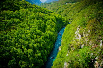 Canyon of the river Tara
