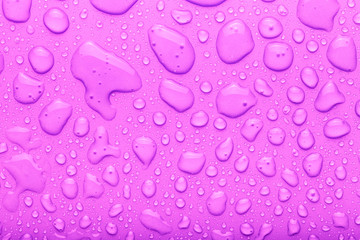 Drops of water on a color background. Pink. Toned