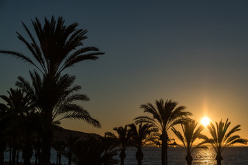 Fototapeta premium sunset over a sunny beach