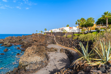 Tropical plants on coastal promenade along ocean in San Juan town, Tenerife island, Spain