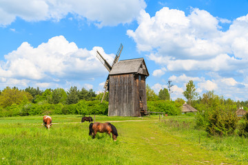 Horse and cow grazing on green meadow near old wooden windmill in spring landscape of Tokarnia village, Poland