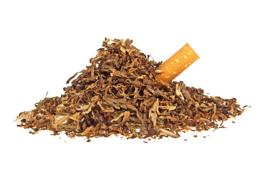 Dried smoking tobacco and cigarette filter on a white background