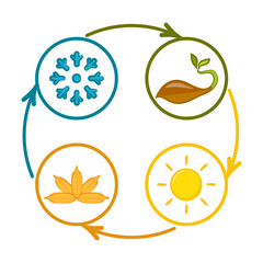 Obraz premium A set of icons of seasons. Vector illustration
