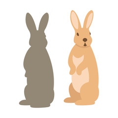 rabbit vector illustration style Flat set silhouette