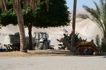 Israel