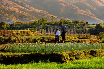 Fotobehang Afrika Madagascar agricultural landscape  © Agata Carr