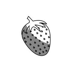 strawberry fruit icon