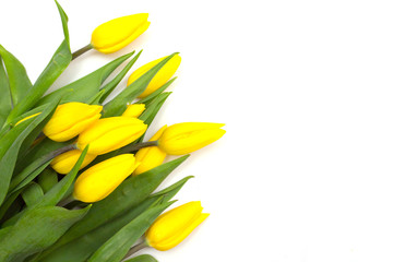 
Yellow tulips on a white background. A gift for Valentine's Day, Mother's Day, the eighth of March. Flowers for your girlfriend
