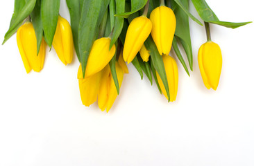 
Yellow tulips on a white background. A gift for Valentine's Day, Mother's Day, the eighth of March. Flowers for your girlfriend
