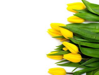 
Yellow tulips on a white background. A gift for Valentine's Day, Mother's Day, the eighth of March. Flowers for your girlfriend
