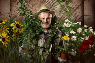 Gärtner zwischen Pflanzen und Blumen