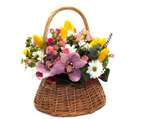 
Flower arrangement in a pot, basket, on a white background
