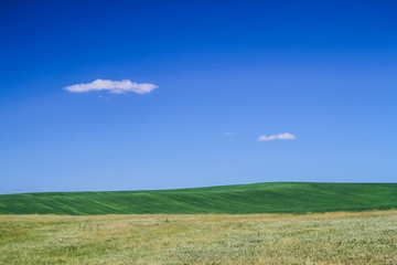Summer landscape background in Ukraine. Wallpaper