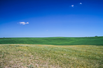 Fototapeta na wymiar Summer landscape background in Ukraine. Wallpaper