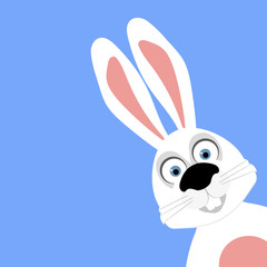 Funny easter rabbit 