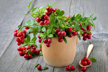 Bouquet of red cowberry