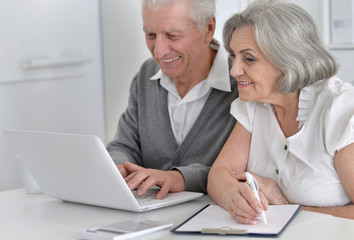 Elderly couple with a laptop