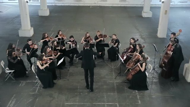 Orchestra. Musician playing violin on the symphony hall