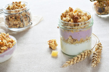 greek yogurt with fruit crunchy