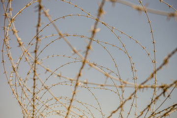 barbed wire