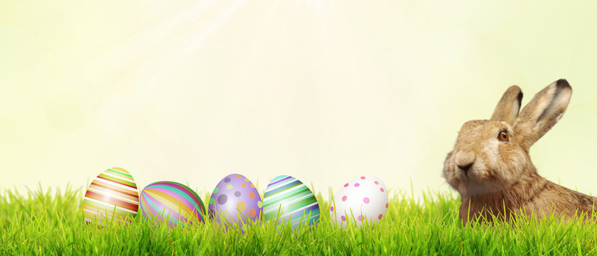 242,853 MIGLIORI IMMAGINI, FOTO STOCK E VETTORIALI PER “Buona Pasqua