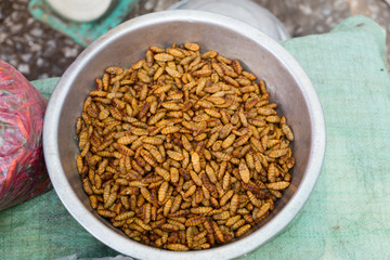 wasp larvae at market