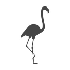Naklejka premium Flamingo Icon - Illustration