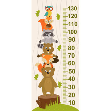 growth measure with forest animal - vector illustration, eps
