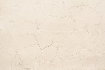 The texture of the antique white wall, the ceiling with fine cracks in the outer plaster layer