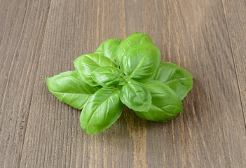 liść bazylii