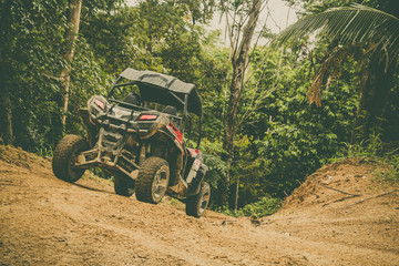 Fototapeta premium Extreme ride on ATV, buggies, jeeps. Journey through the jungle. Extreme quad biking, dune buggy, Jeep in the jungle, forest / ATV, UTV . in motion. toned image