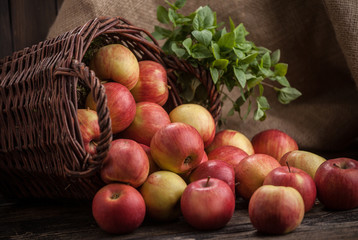 Jabłka w wiklinowym koszu © Olo