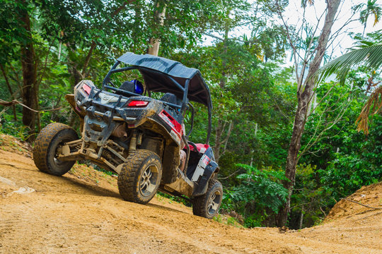 Extreme Ride On ATV, Buggies, Jeeps. Journey Through The Jungle. Extreme Quad Biking, Dune Buggy, Jeep In The Jungle, Forest / ATV, UTV . In Motion.  Toned Image