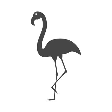 Flamingo emblem flat icon - Illustration