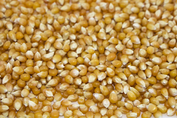 Popcorn kernels isolated